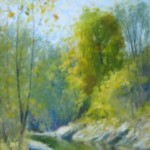 Moot's Run Moot's Run